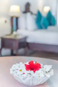 Royal Heritage Haveli - By Leisures - 69
