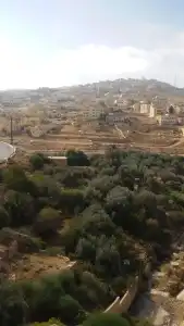 Corner View – Petra - 13