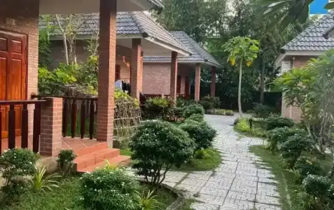 Rum Resort - 6