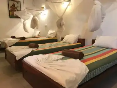 Star Holiday Resort - 52