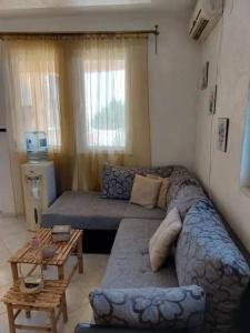 Apartments - 8