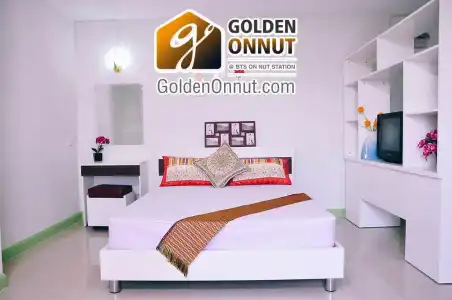 Golden On-nut - 17