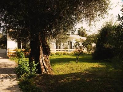Olive Grove Suites Boutique - 52
