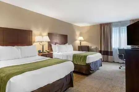 Comfort Inn Lansing West - 4