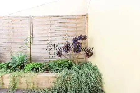 Nova Sintra - Adults Only - 47
