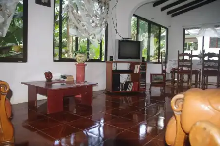 Papaya Guesthouse - 13