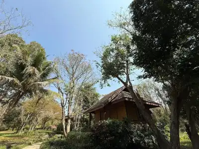 Baan Krating Pai Resort - 69
