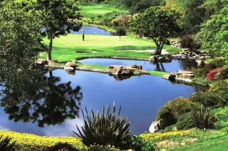 Park Hyatt Aviara Resort, Golf Club & Spa - 23