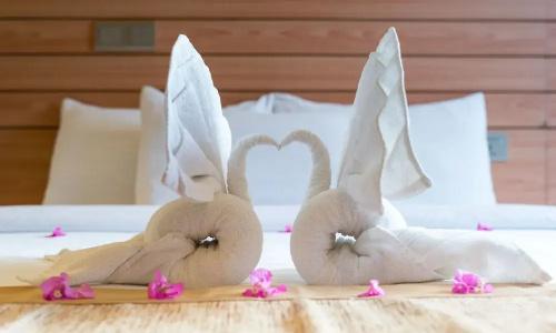 Nala Veli Beach & Spa - 48