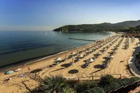 del golfo - 12