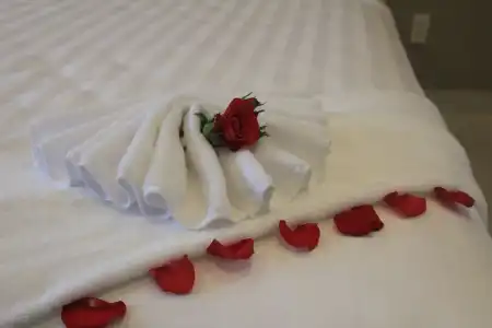 Lavender Resort - 12