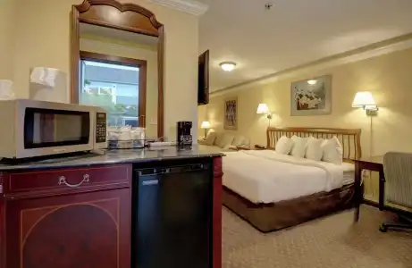 Senator Inn & Spa - 89