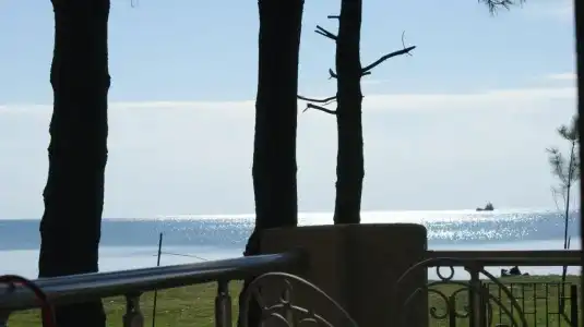 Mana-Mana - 49