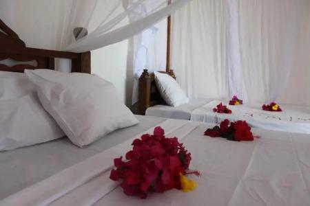 Zoi Retreat Zanzibar - 71