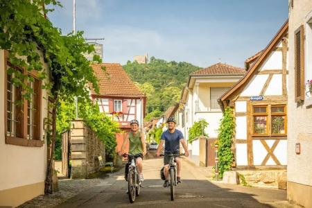 PANORAMA in Neustadt an der Weinstraße - 16