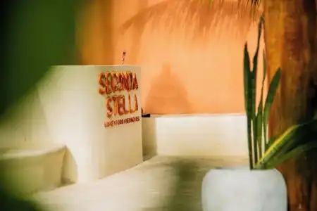 Seconda Stella Boutique - 3