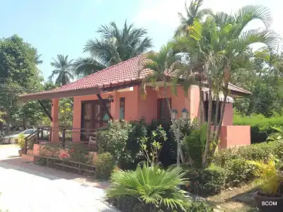 The New Villa - 9