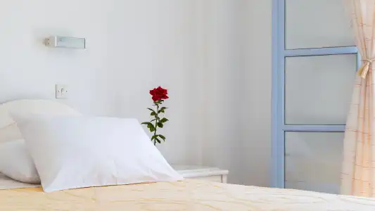 Inoe Boutique - 5