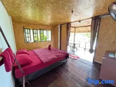 Lijiang Yunlong - 559