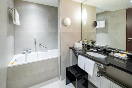 Park Plaza Trier, Germany - 66