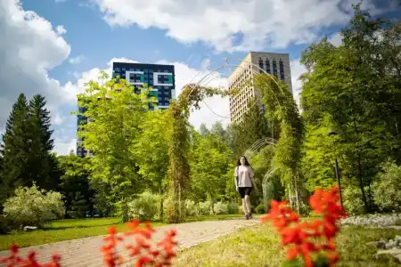 Zelenaya Roscha - 33