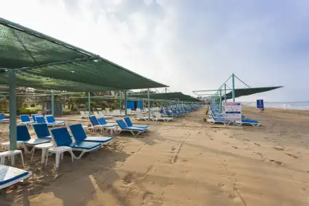 Iz Flower Side Beach - 19