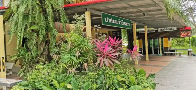 Palm Kaew Resort Krabi - 35