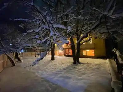 ArtVilla Bakuriani - 73
