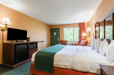 Quality Inn Eureka Springs South - 34