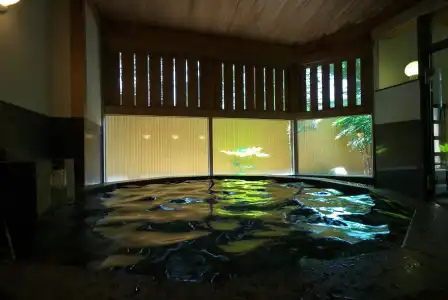 Fujiya Ryokan - 24