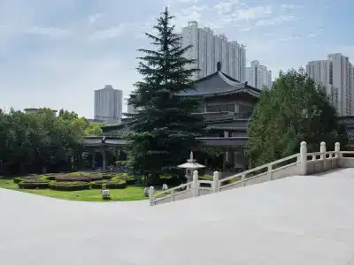 Xi'an Daxi - 20