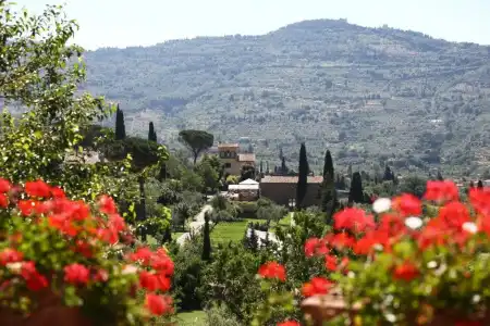 Il Falconiere - 44
