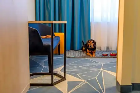 ibis Styles Bad Reichenhall - 37