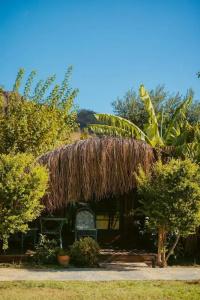 Turkuaz Bungalows - 112