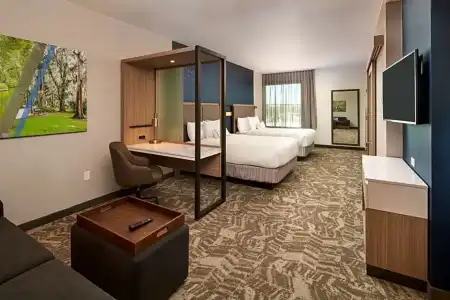 SpringHill Suites by Marriott - 27