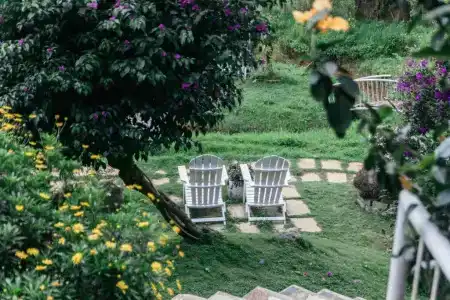 An Garden - 22