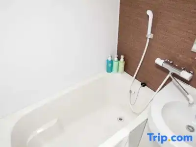 Route Inn Nagaoka Ekimae - 41