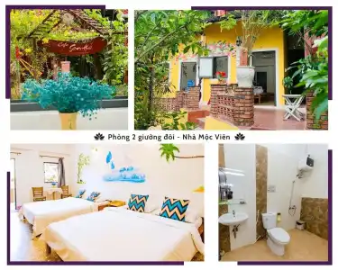 Hue Lotus Homestay - 33