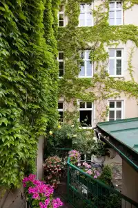 Schwalbe - 10