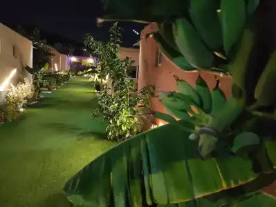 Modular Bungalows With Pool Vravrona Artemis Greece - 21