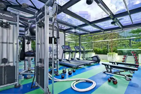 Holiday Inn Express SINGAPORE ORCHARD ROAD by IHG - 17