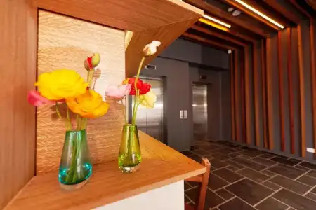 Vine Serviced Apartments - 15
