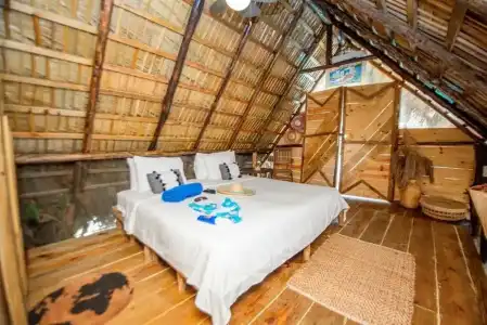 Cabarete Boutique Ecolodge Beachfront - 74