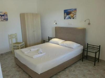 Thira's Dolphin - 43