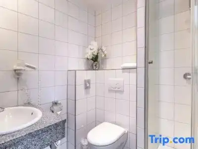 Plaza Inn Heidehof - 93