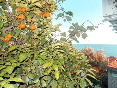 Guest house Naser - 35