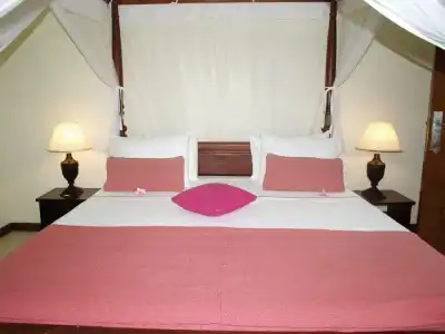 Albert Galle Fort - 4