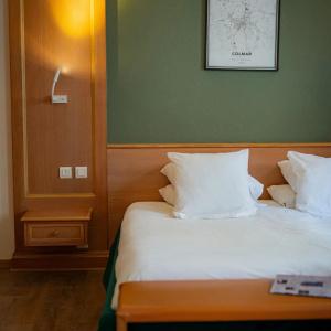Hôtel Le Rapp - 29