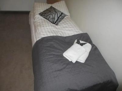 Dettifoss Guesthouse - 19