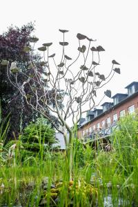 BE Bio be Active - Nähe Historischer Hafen - 1